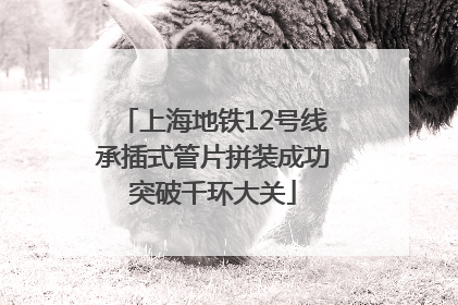 上海地铁12号线承插式管片拼装成功突破千环大关
