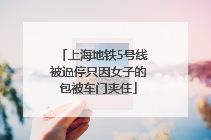 上海地铁5号线被逼停只因女子的包被车门夹住