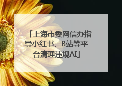上海市委网信办指导小红书、B站等平台清理违规AI