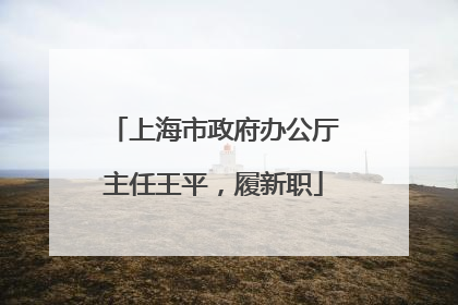 上海市政府办公厅主任王平，履新职