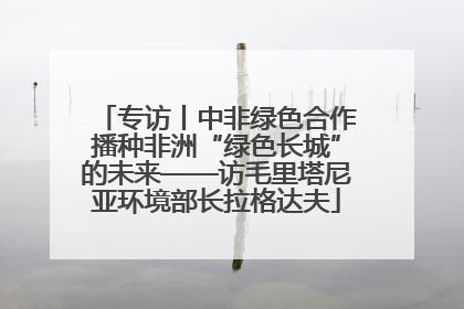 专访丨中非绿色合作播种非洲“绿色长城”的未来——访毛里塔尼亚环境部长拉格达夫