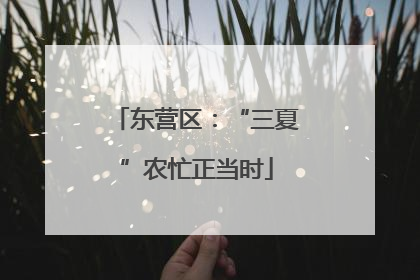 东营区：“三夏”农忙正当时