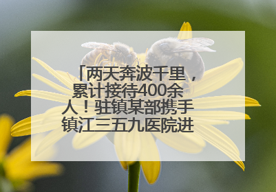 两天奔波千里，累计接待400余人！驻镇某部携手镇江三五九医院进村开展健康帮扶