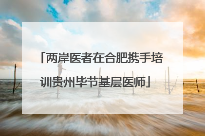 两岸医者在合肥携手培训贵州毕节基层医师