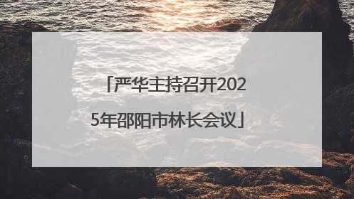 严华主持召开2025年邵阳市林长会议