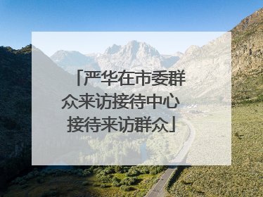 严华在市委群众来访接待中心接待来访群众