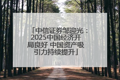 中信证券邹迎光：2025中国经济开局良好 中国资产吸引力持续提升