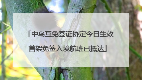 中乌互免签证协定今日生效 首架免签入境航班已抵达