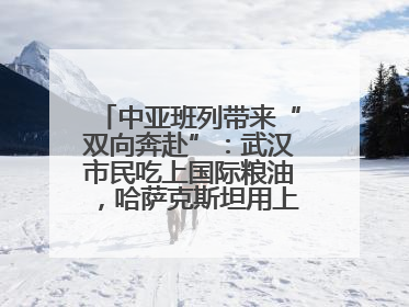 中亚班列带来“双向奔赴”：武汉市民吃上国际粮油，哈萨克斯坦用上鄂产光电屏