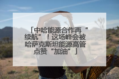 中哈能源合作再“续航”！这场峰会被哈萨克斯坦能源高管点赞“加油”