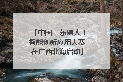 中国—东盟人工智能创新应用大赛在广西北海启动