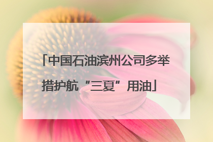 中国石油滨州公司多举措护航“三夏”用油