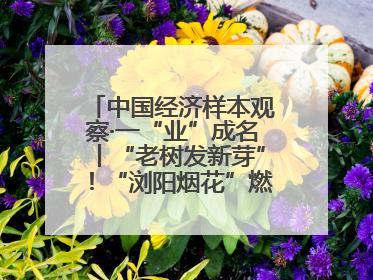 中国经济样本观察·一“业”成名丨“老树发新芽”！“浏阳烟花”燃亮世界