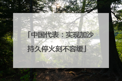 中国代表：实现加沙持久停火刻不容缓
