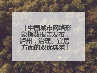 中国城市网络形象指数报告发布，泸州：治理、宜居方面的双优典范
