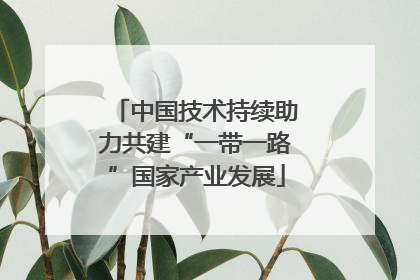 中国技术持续助力共建“一带一路”国家产业发展