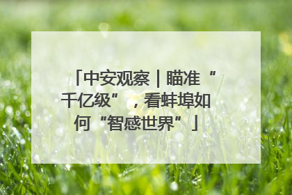 中安观察｜瞄准“千亿级”，看蚌埠如何“智感世界”