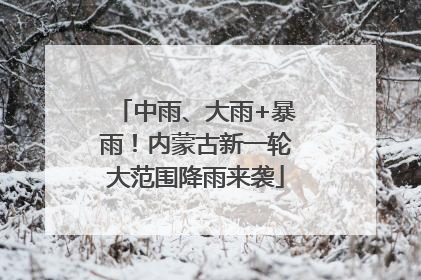 中雨、大雨+暴雨！内蒙古新一轮大范围降雨来袭