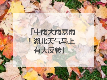 中雨大雨暴雨！湖北天气马上有大反转