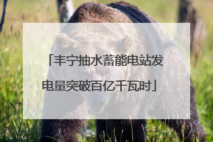 丰宁抽水蓄能电站发电量突破百亿千瓦时