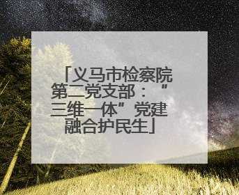 义马市检察院第二党支部：“三维一体”党建融合护民生
