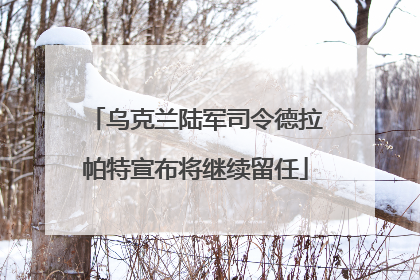乌克兰陆军司令德拉帕特宣布将继续留任