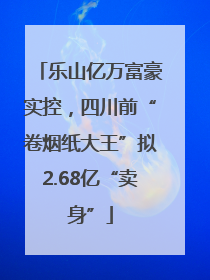 乐山亿万富豪实控，四川前“卷烟纸大王”拟2.68亿“卖身”