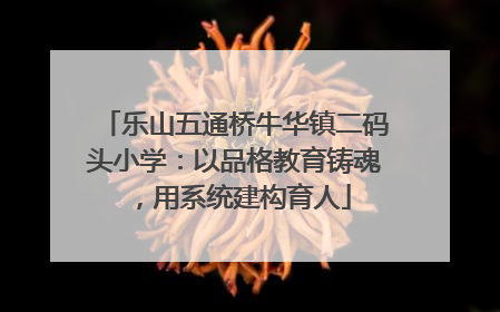 乐山五通桥牛华镇二码头小学：以品格教育铸魂，用系统建构育人