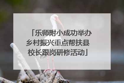 乐师附小成功举办乡村振兴重点帮扶县校长跟岗研修活动