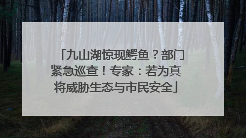 九山湖惊现鳄鱼？部门紧急巡查！专家：若为真将威胁生态与市民安全