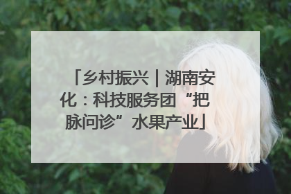 乡村振兴｜湖南安化：科技服务团“把脉问诊”水果产业