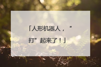 人形机器人，“打”起来了！