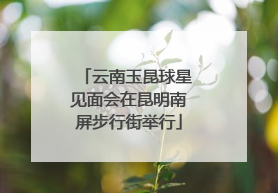 云南玉昆球星见面会在昆明南屏步行街举行