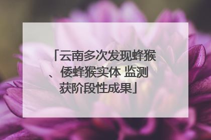 云南多次发现蜂猴、倭蜂猴实体 监测获阶段性成果