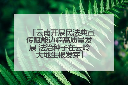云南开展民法典宣传赋能边疆高质量发展 法治种子在云岭大地生根发芽