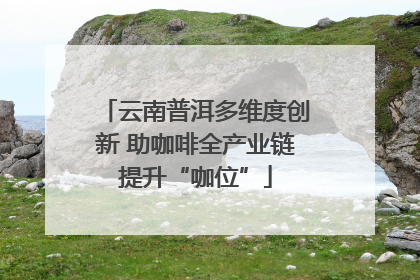 云南普洱多维度创新 助咖啡全产业链提升“咖位”