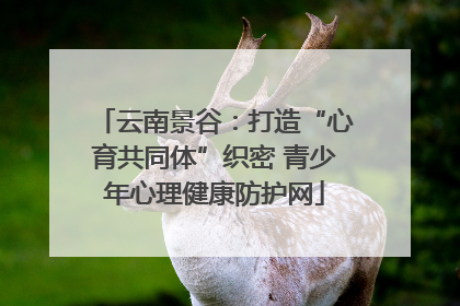 云南景谷：打造“心育共同体”织密 青少年心理健康防护网