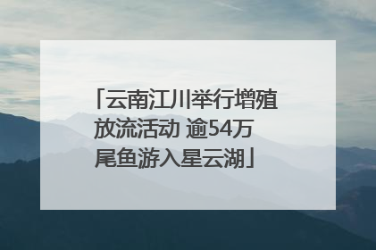 云南江川举行增殖放流活动 逾54万尾鱼游入星云湖