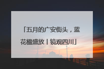五月的广安街头，蓝花楹盛放丨镜观四川