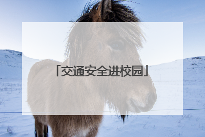 交通安全进校园
