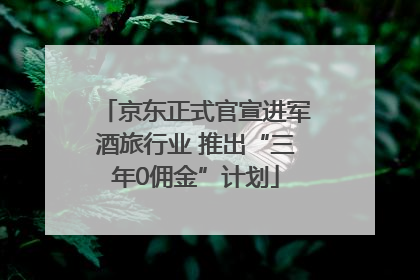 京东正式官宣进军酒旅行业 推出“三年0佣金”计划