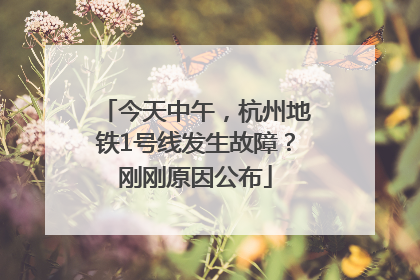今天中午，杭州地铁1号线发生故障？刚刚原因公布
