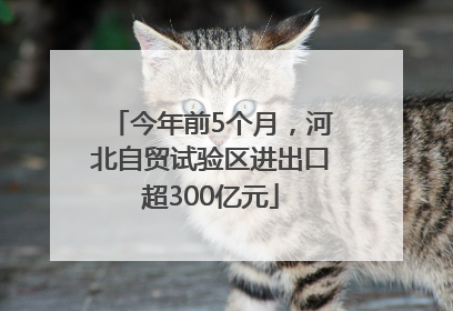 今年前5个月，河北自贸试验区进出口超300亿元