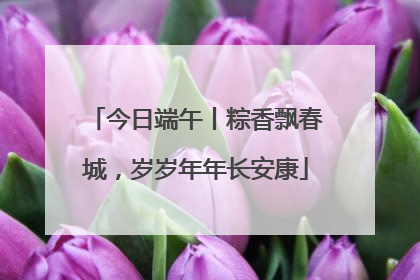 今日端午丨粽香飘春城，岁岁年年长安康