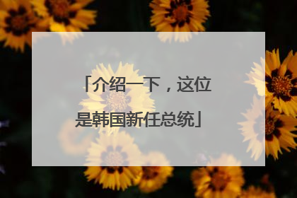 介绍一下，这位是韩国新任总统