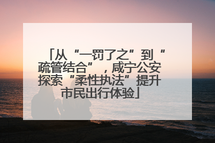 从“一罚了之”到“疏管结合”，咸宁公安探索“柔性执法”提升市民出行体验
