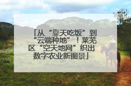 从“靠天吃饭”到“云端种地”！莱芜区“空天地网”织出数字农业新图景