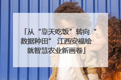 从“靠天吃饭”转向“数据种田” 江西安福绘就智慧农业新画卷