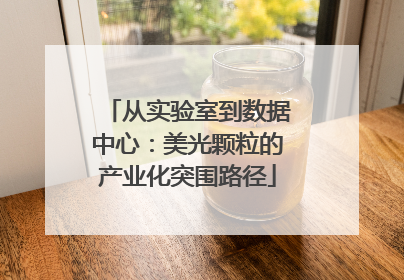 从实验室到数据中心：美光颗粒的产业化突围路径