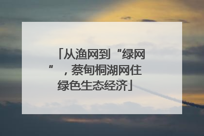 从渔网到“绿网”，蔡甸桐湖网住绿色生态经济